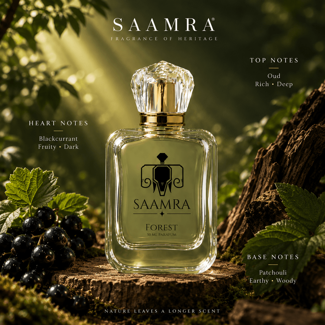 Forest preview 2